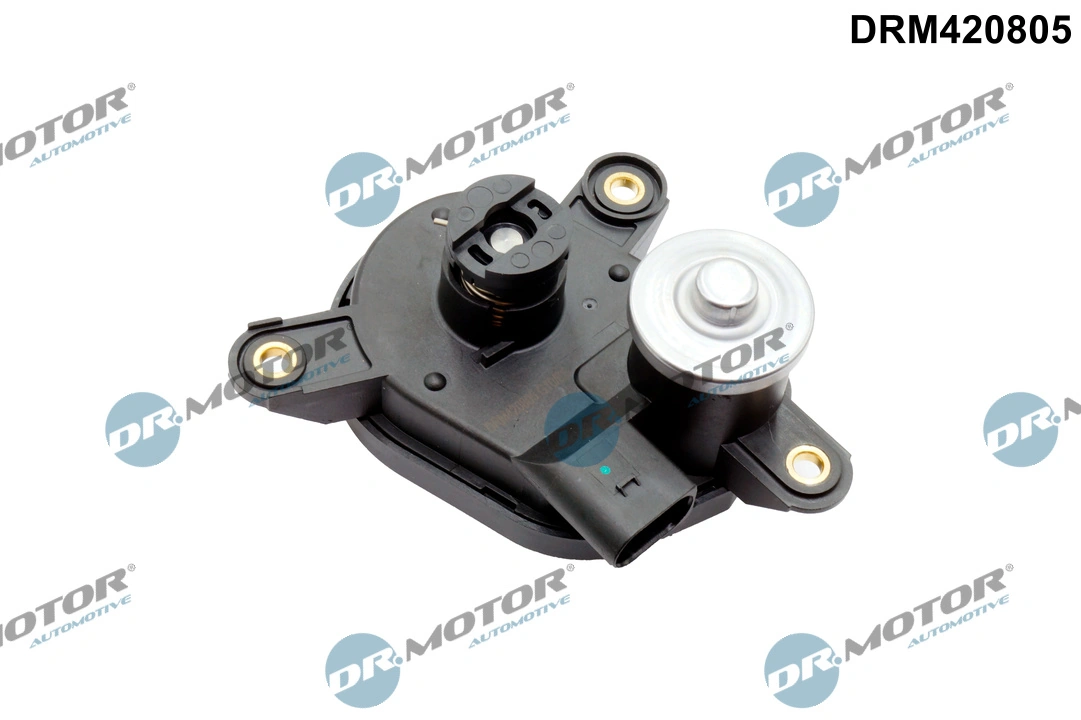 Control, swirl flaps (induction pipe)